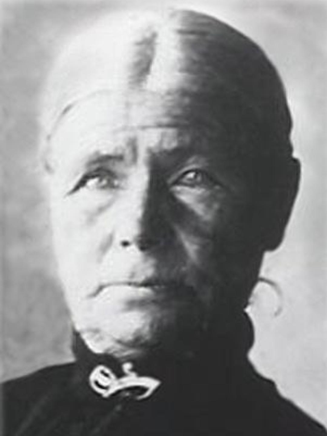 Sarah Briggs Allen (1835 - 1920) Profile